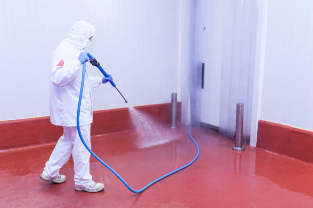Professional  Pressure Washing Services in Middlesborough, KY